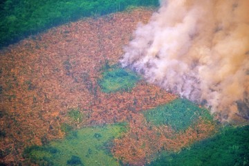 'Financing our own extinction': $1.8tr in subsidies funding nature destruction every year, global study finds