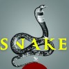 Are Snakes as Evil as We Think? 