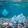 The Ocean Will Soon Have More Plastics Than Fish