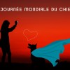 Le chien : formidable, précieux, le plus ancien ami