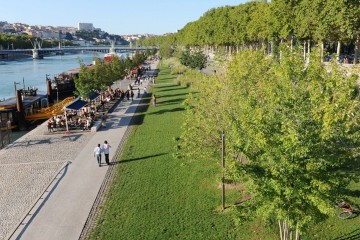 La métropole de Lyon élue capitale de la biodiversité