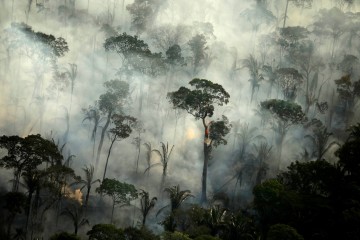 Brazil experiences worst start to Amazon fire season for 10 years