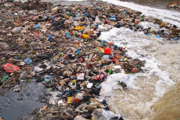 TUNISIE : Tinja rejoint une initiative de WWF pour réduire la pollution plastique