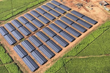 ZIMBABWE : Blockpower fournit du solaire hybride pour la production du thé à Chipinge