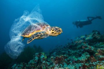 Worldwide collaboration will stop ocean plastic pollution from tripling