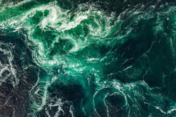 Dans l’océan, comment le plancton s’est adapté à son environnement turbulent