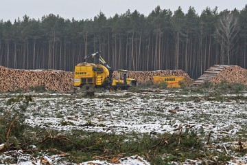COP26 : 5 questions pour tout comprendre sur les enjeux de la déforestation