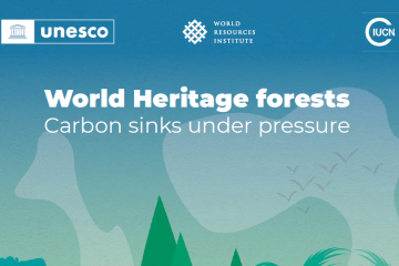 Comment les forêts du patrimoine mondial de l’UNESCO font face au dérèglement climatique