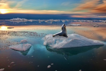 Le Groenland perd désormais 357 milliards de tonnes de glace par an
