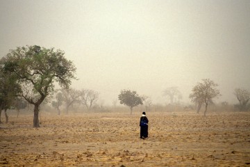 COP26 : quelles priorités pour l’Afrique face au changement climatique ?