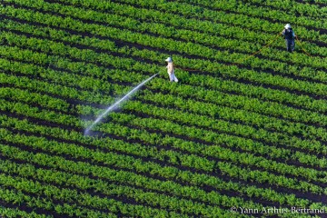 Le coût des pesticides évalué à 2,3 milliards d’euros en Europe