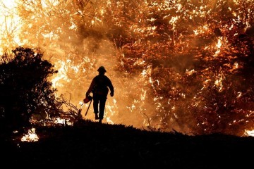From Siberia to US west, wildfires spewed record carbon emissions this year