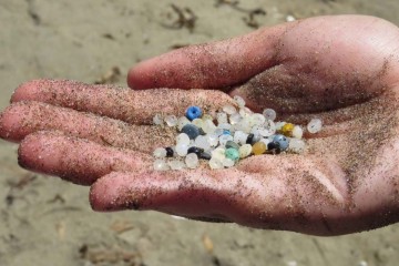 Que sont les nurdles, ces déchets méconnus qui ravagent pourtant les océans ?