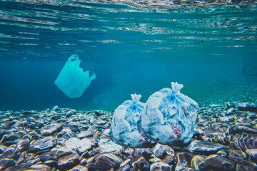 The Ocean Will Soon Have More Plastics Than Fish