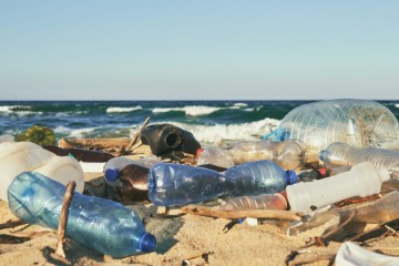 Les microbes de la terre et de l’océan évoluent pour dégrader le plastique