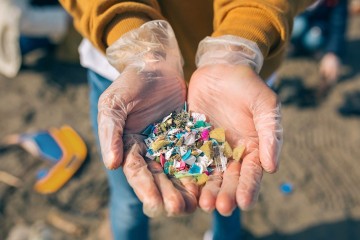 Microplastics and Toxic Chemicals Increasingly Prevalent in World’s Oceans