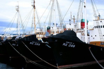 Iceland whaling: Fisheries minister signals end from 2024