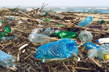 Pollution plastique et chimique : notre planète a franchi la ligne rouge