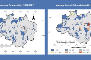 Deforestation of Indigenous lands could prevent Brazil from achieving climate change mitigation targets