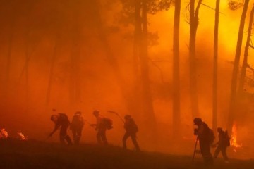 Incendies : plus de 700 000 hectares brûlés, un été record en Europe !