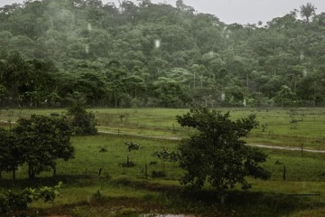 September sees worst-ever deforestation rate in Amazon