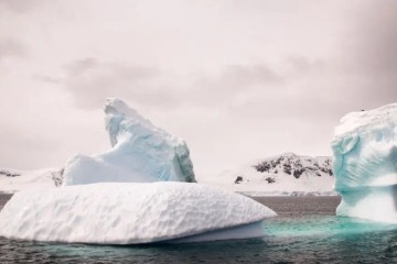 Un ADN âgé d’un million d’années découvert en Antarctique