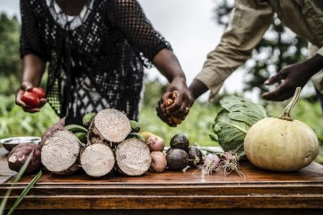 Journée mondiale de l’alimentation 2022 : agir pour la sécurité alimentaire