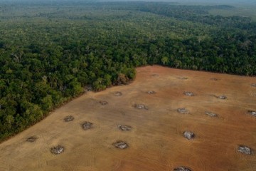 Recul de la déforestation en Amazonie brésilienne sur un an