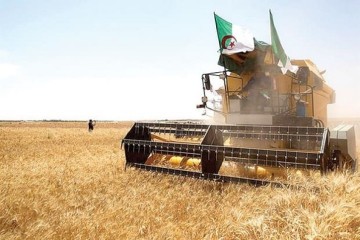 L’Algérie, pays « modèle » en matière de sécurité alimentaire en Afrique, selon le rapport du FEM