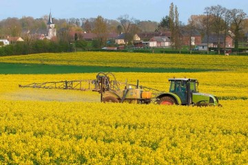 La France « championne » des pesticides en Europe, selon des ONG