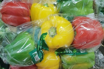 Plastic pervasive in food supply, says new study