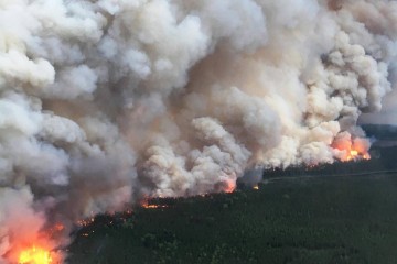 Wildfire smoke downwind affects health, wealth, mortality