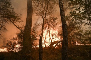 Experts blame poor government preparation for Greek fires’ devastation
