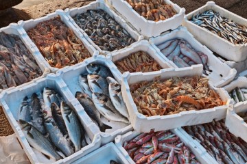 Low-income countries could lose 30% of nutrients like protein and omega-3 from seafood due to climate change
