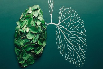 Climate Change vs. Heart and Lung Health: The Causes and Effects (Part 1)