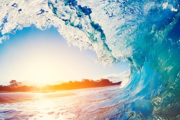 Climat : les océans ont absorbé en 2023 assez d’énergie pour faire bouillir des « milliards de piscines olympiques »