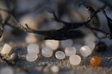 Les plages du nord-ouest de l’Espagne infestées de micro-billes de plastique