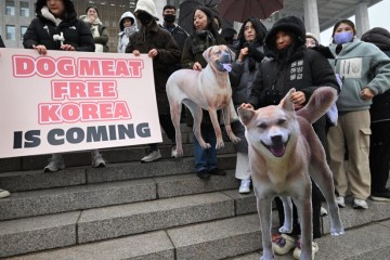 La Corée du Sud va interdire la vente de viande de chien d’ici 2027