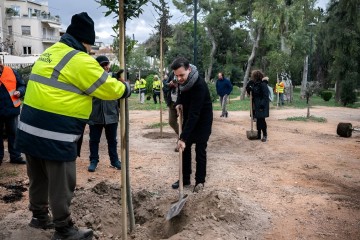 Végétaliser une capitale de béton, le défi du nouveau maire d’Athènes