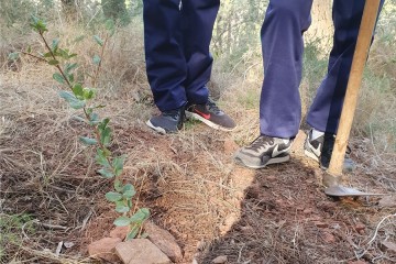 Planting Roots of Change: Students' Experience in La Sierra Calderona, Spain