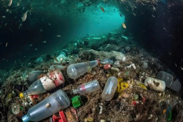 Environnement : jusqu'à 11 millions de tonnes de plastique accumulées dans les fonds marins !