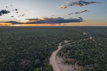 Brésil : la déforestation progresse dans le Cerrado et dépasse pour la première fois celle de l’Amazonie