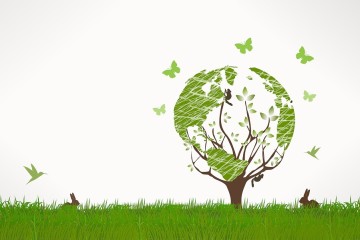 Journée mondiale de l’environnement 2024