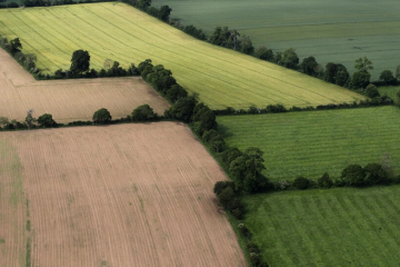 L'UE adopte in extremis la loi sur la restauration de la nature, un texte majeur du Pacte vert