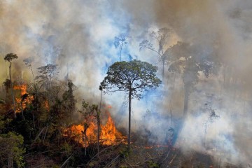 Brésil : incendies record dans la plus grande zone humide de la planète