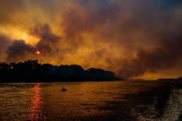 Devastation as world’s biggest wetland burns: ‘those that cannot run don’t stand a chance’