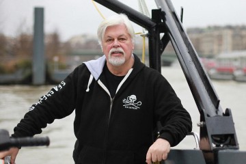 Arrestation de Paul Watson : une pétition appelle Emmanuel Macron à la rescousse