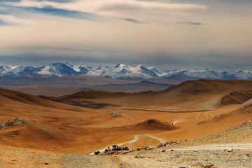 Mongolie : le nomadisme au temps du changement climatique