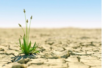 Agriculture : quelle est cette solution miracle pour faire face aux pénuries d'eau ?