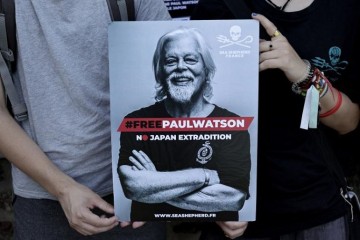 Baleines : Mobilisations en France contre l’extradition de Paul Watson du Danemark vers le Japon